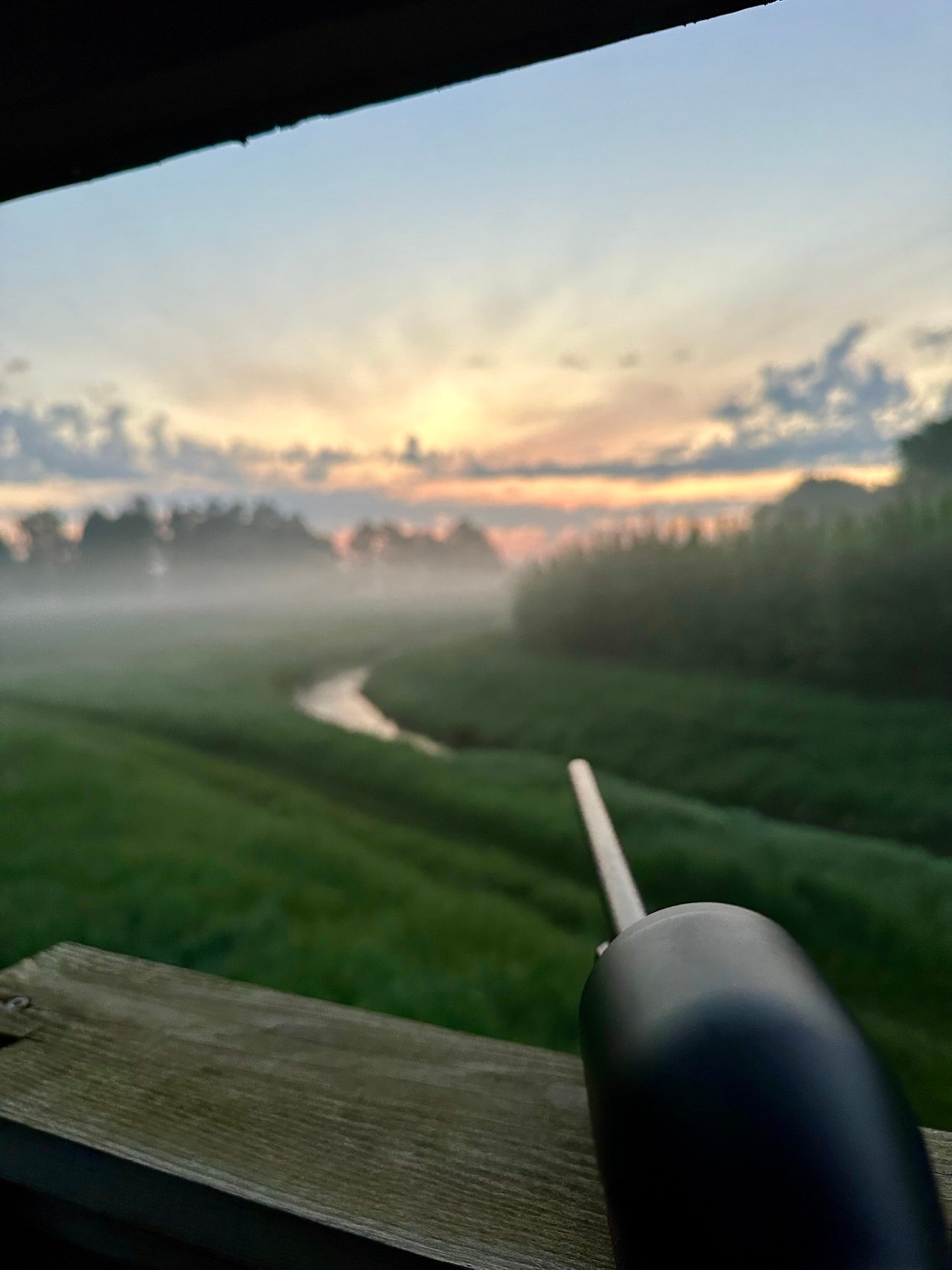 Blick aus dem Hochsitz über nebelige Wiesen im Morgengrauen