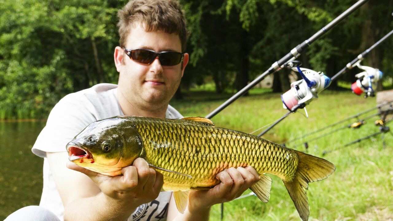 Angler mit Karpfen und Angelruten am Wasser
