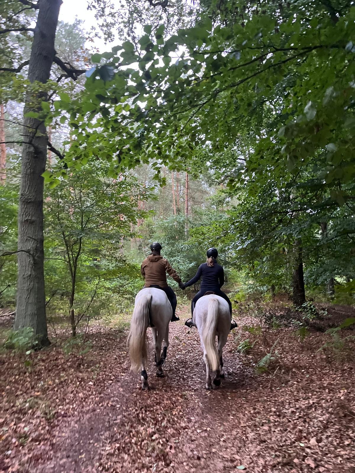 Wanderreiten